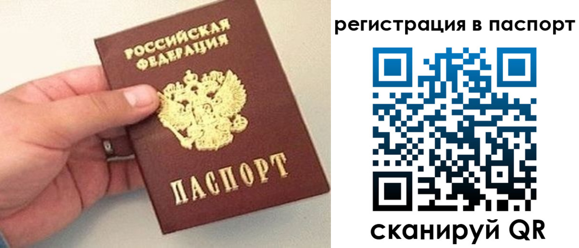 прописка законно в Читинской области